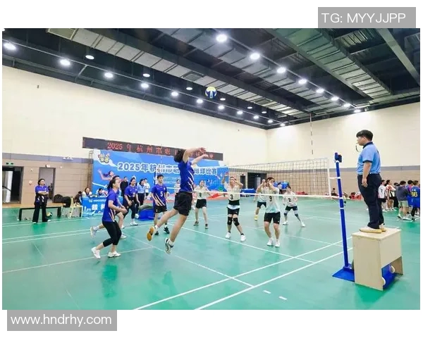 杭州排球队反击战术解析与深度剖析排球竞技的魅力与挑战