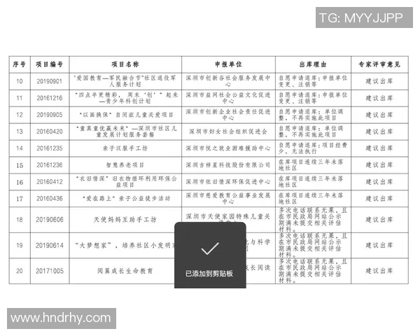深圳羽毛球队总决赛技术分析与表现评估全景解读